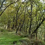 Casa de Campo El Escondite De Pedro Malillo