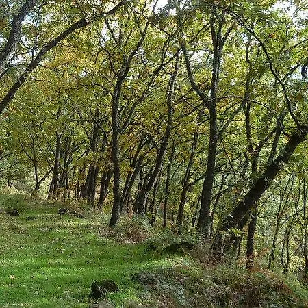 Séjour à la campagne El Escondite De Pedro Malillo