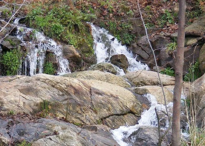 El Escondite De Pedro Malillo * 칸델레다