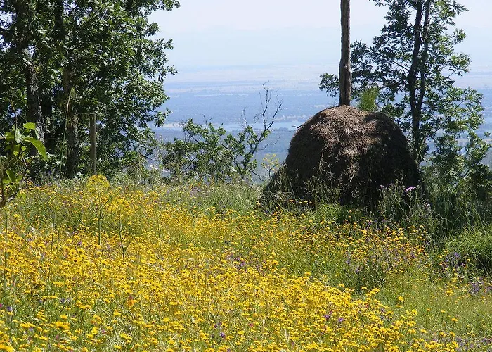 El Escondite De Pedro Malillo *