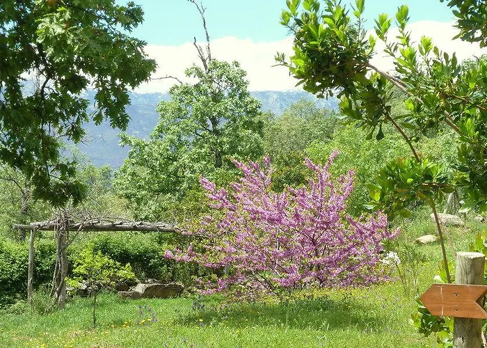 El Escondite De Pedro Malillo *